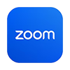 Zoom Icon